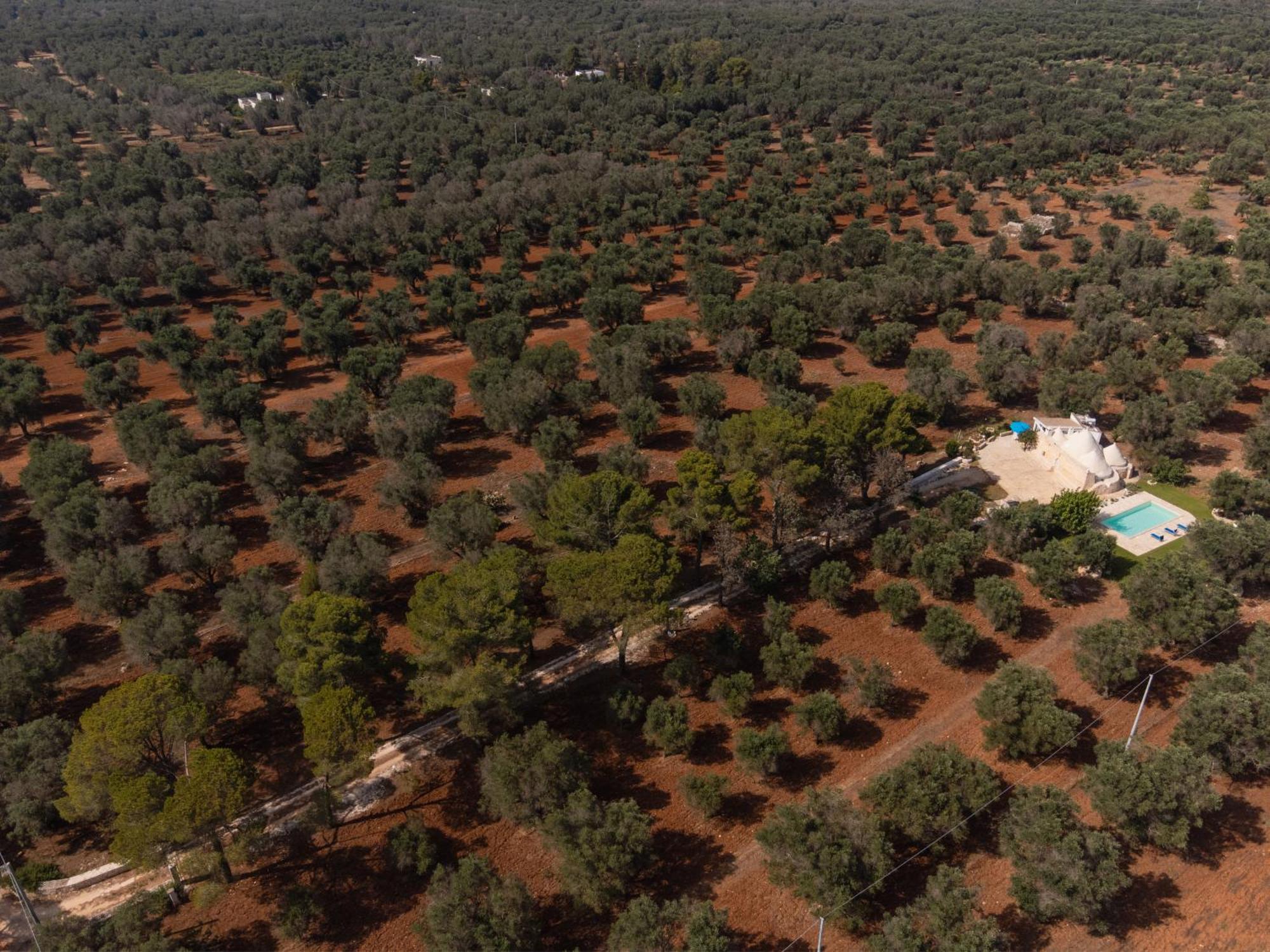Trullo Tarantini Con Piscina Privata Apartment Latiano Bagian luar foto
